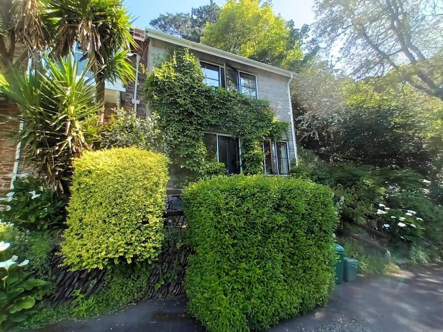 Treetop Cottage At Countisbury Lodge Lynmouth Kültér fotó