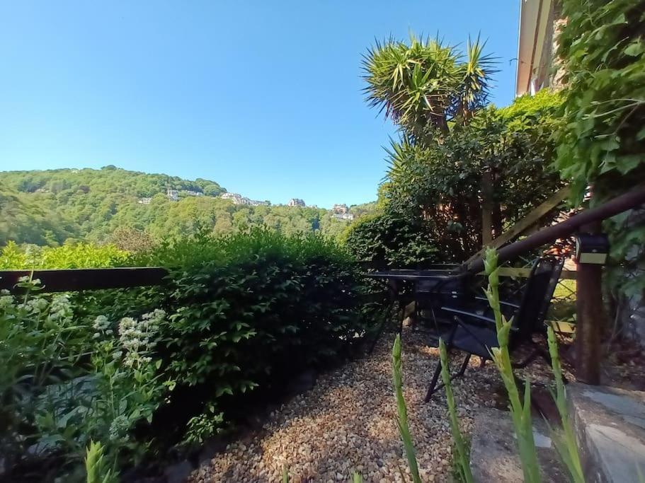 Treetop Cottage At Countisbury Lodge Lynmouth Kültér fotó
